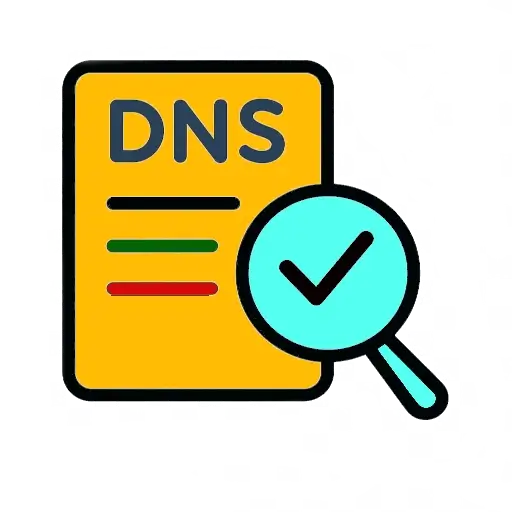 DNS Records Checker